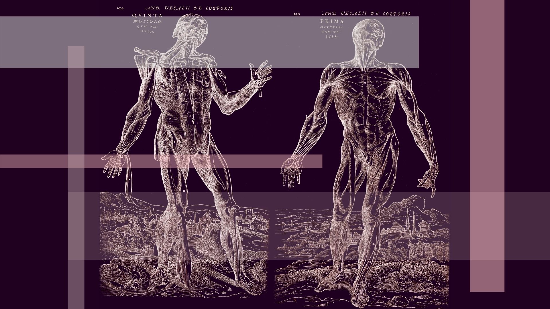 Grafika przedstawiająca dwa szkielety ludzkie. Grafiki pochodzą ze zbiorów zabytkowych